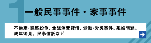 一般民事事件・家事事件